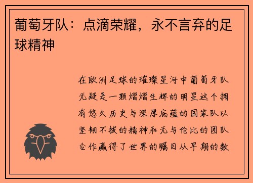 葡萄牙队：点滴荣耀，永不言弃的足球精神