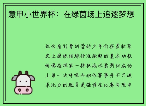 意甲小世界杯：在绿茵场上追逐梦想