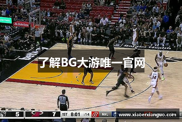 了解BG大游唯一官网